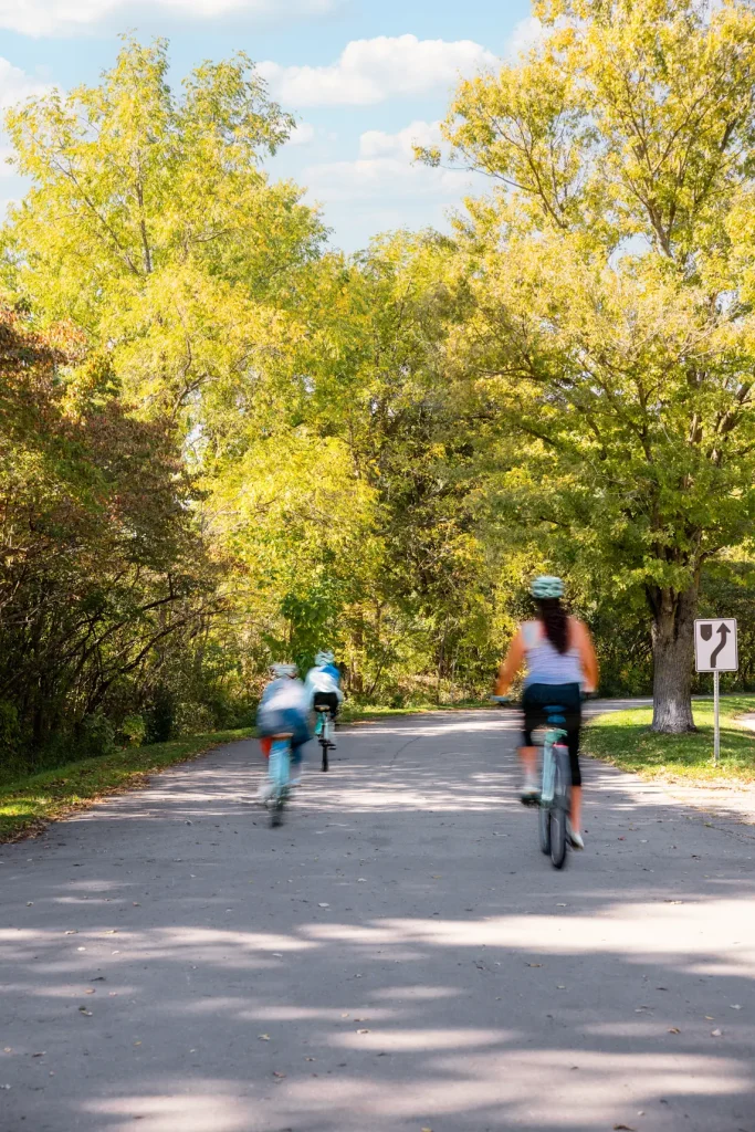 Cycling paths