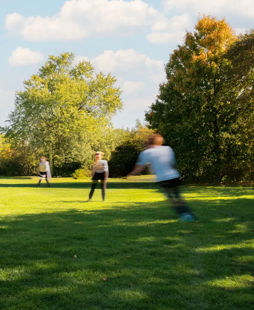Parks & sports fields