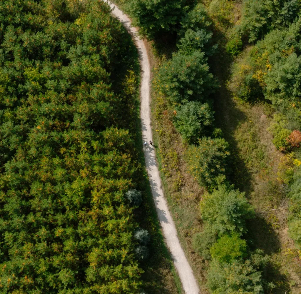 Ravine trail network